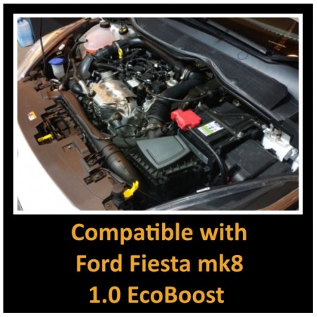 Admisión Ramair Ford Fiesta Mk8 1.0 Ecoboost